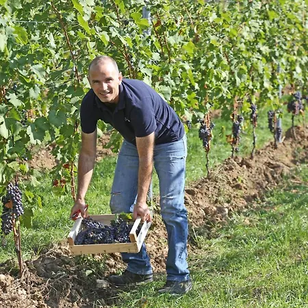 Agriturismo La Rocca Bardolino