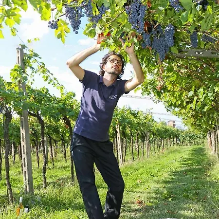 Agriturismo La Rocca