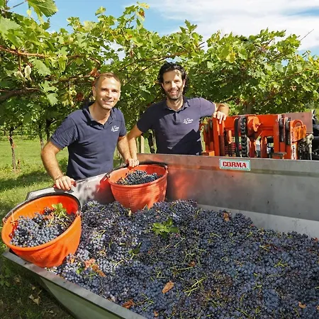 مزرعة للإقامة Agriturismo La Rocca باردولينو