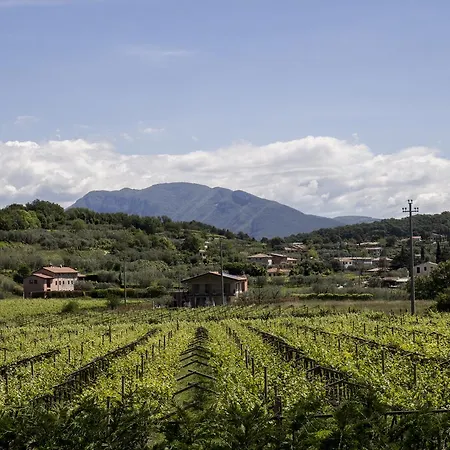 Agriturismo La Rocca * باردولينو