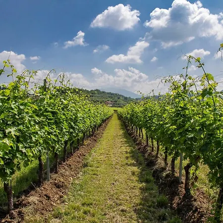 Agriturismo La Rocca * باردولينو