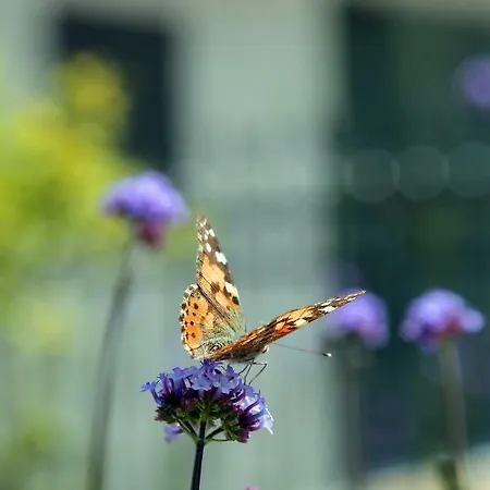 مزرعة للإقامة Agriturismo La Rocca *