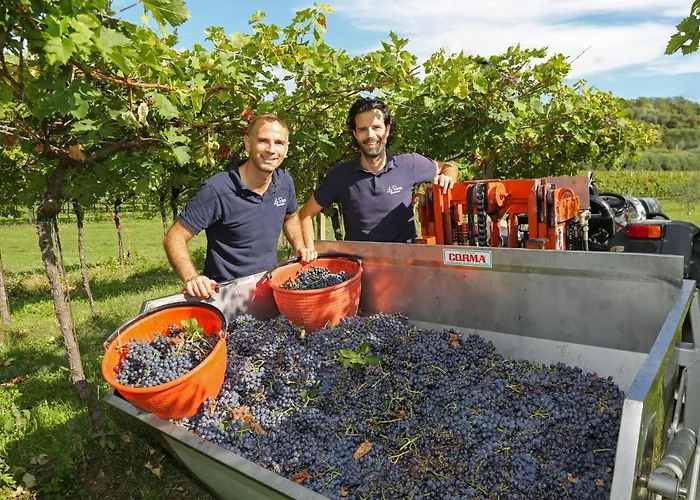 Lantgård La Rocca Bardolino