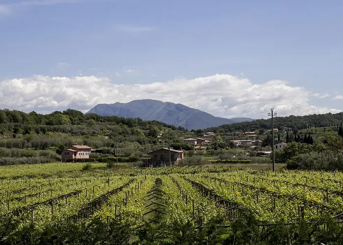 La Rocca * Bardolino