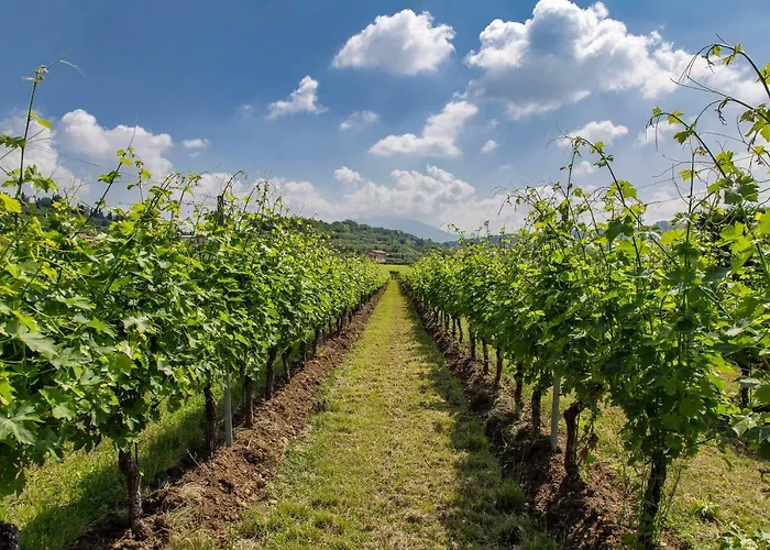 La Rocca * Bardolino