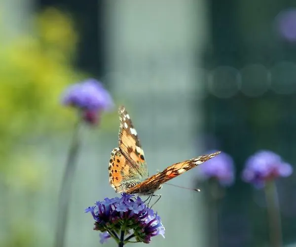 Lantgård La Rocca *